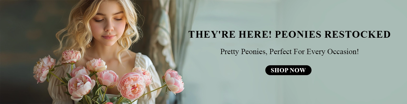 Buy Peonies Online UAE