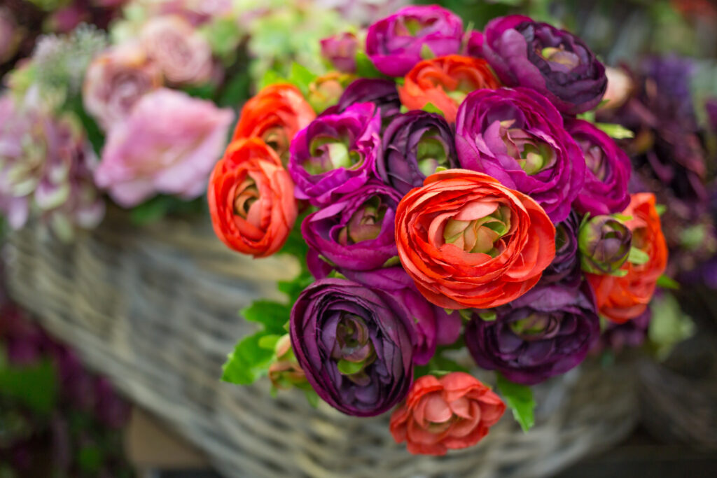 11 Most Romantic Flowers, Blog